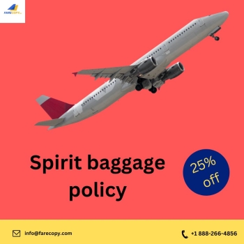 Spirit baggage policy