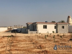 Rent 2BHK With Furniture Full Furnish House DD