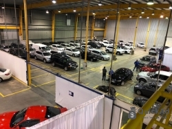 Fin hÃ¤st till salu