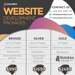 Website Development - Built from Scratch