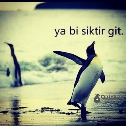 3bhk fully independent House near Valencia to